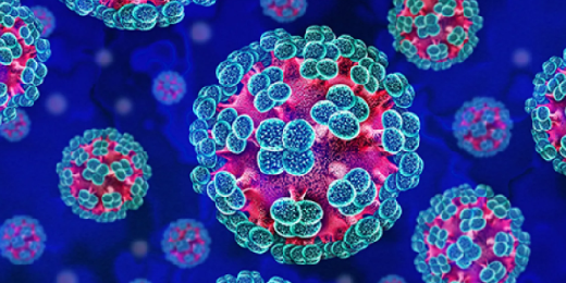 immagine al microscopio di una specie di Hantavirus